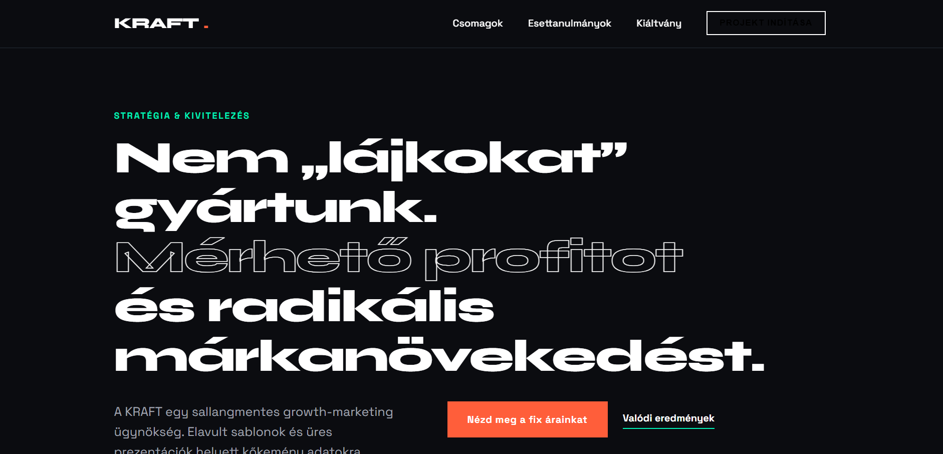 Marketing ügynökség bemutatkozó oldal